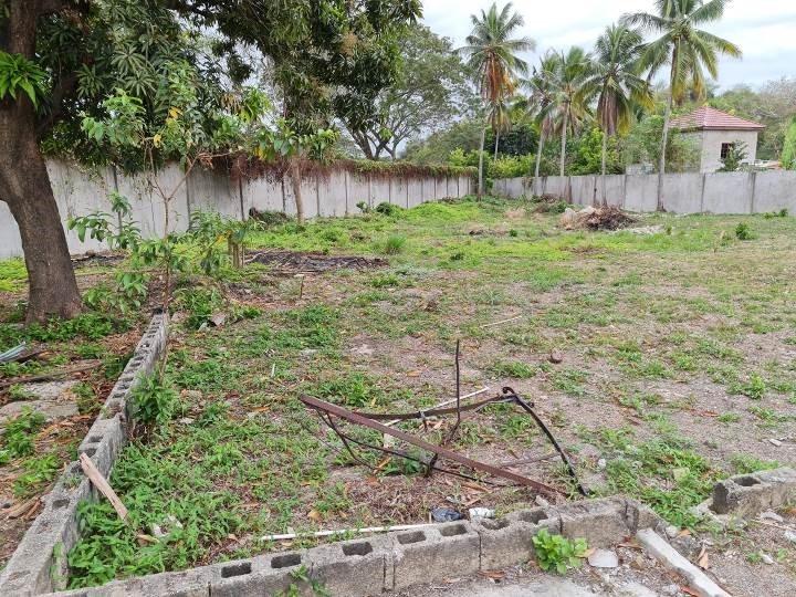 Twenty-First image of Part of Dove Cot Park (jo in Spanish Town, St. Catherine, Jamaica - property is For Sale