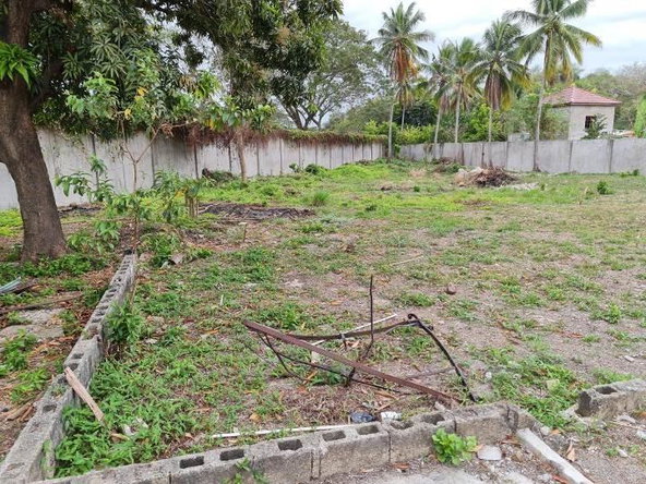 Twenty-First image of Part of Dove Cot Park (jo in Spanish Town, St. Catherine, Jamaica - property is For Sale