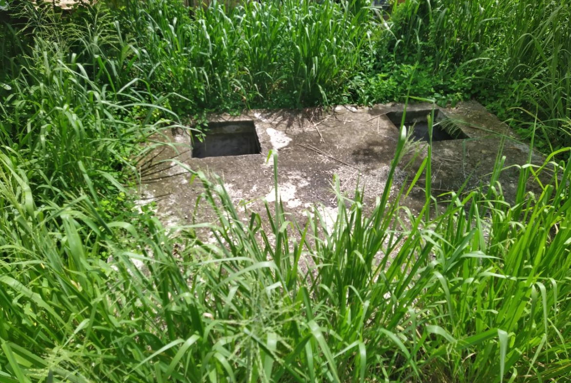 Thirteenth image of Lilly Terrace, Flat Rock in Black River, St. Elizabeth, Jamaica - property is For Sale