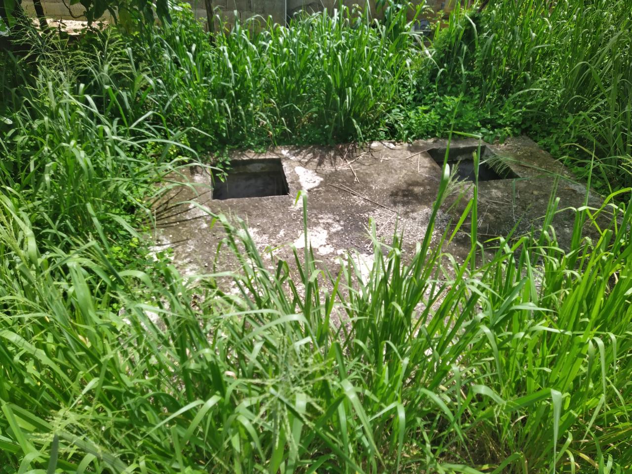 Thirteenth image of Lilly Terrace, Flat Rock in Black River, St. Elizabeth, Jamaica - property is For Sale