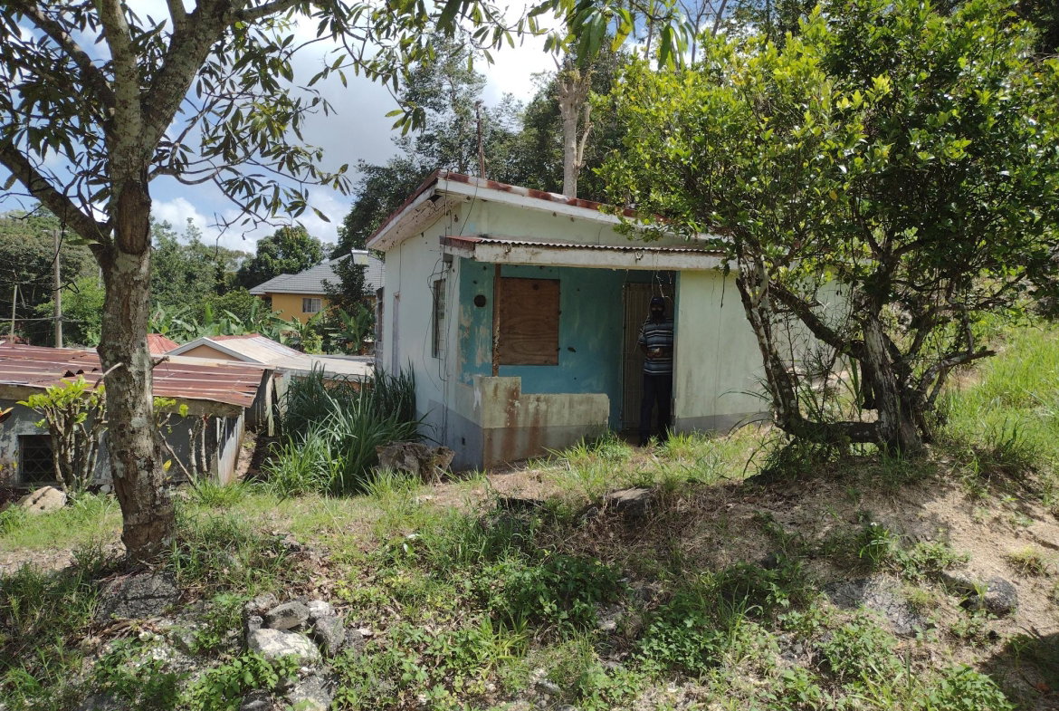 Fifth image of Waltham in Mandeville, Manchester, Jamaica - property is For Sale