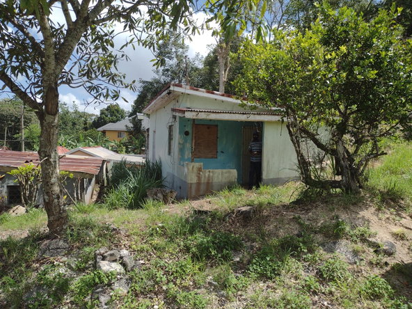 Fifth image of Waltham in Mandeville, Manchester, Jamaica - property is For Sale