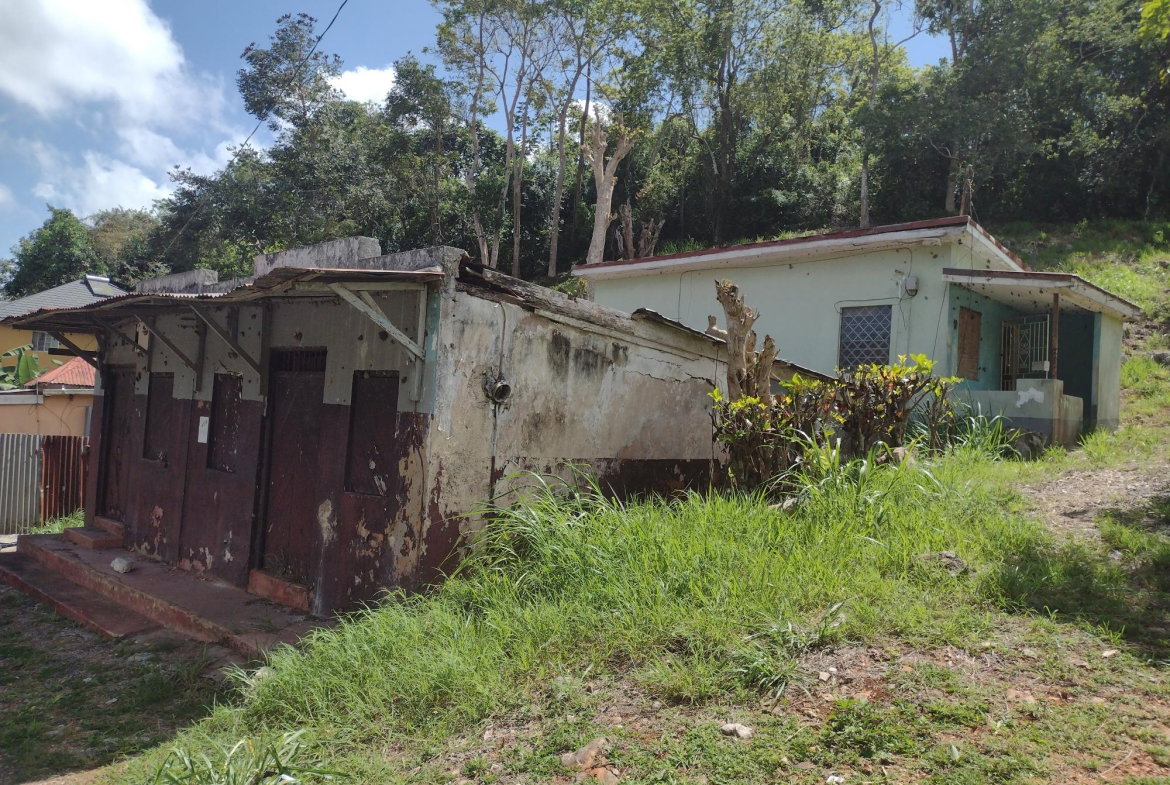Sixth image of Waltham in Mandeville, Manchester, Jamaica - property is For Sale