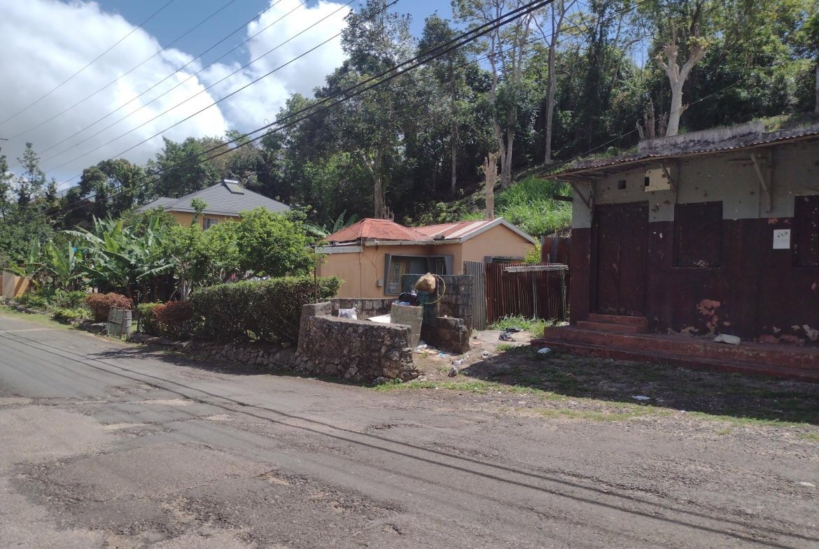 Ninth image of Waltham in Mandeville, Manchester, Jamaica - property is For Sale