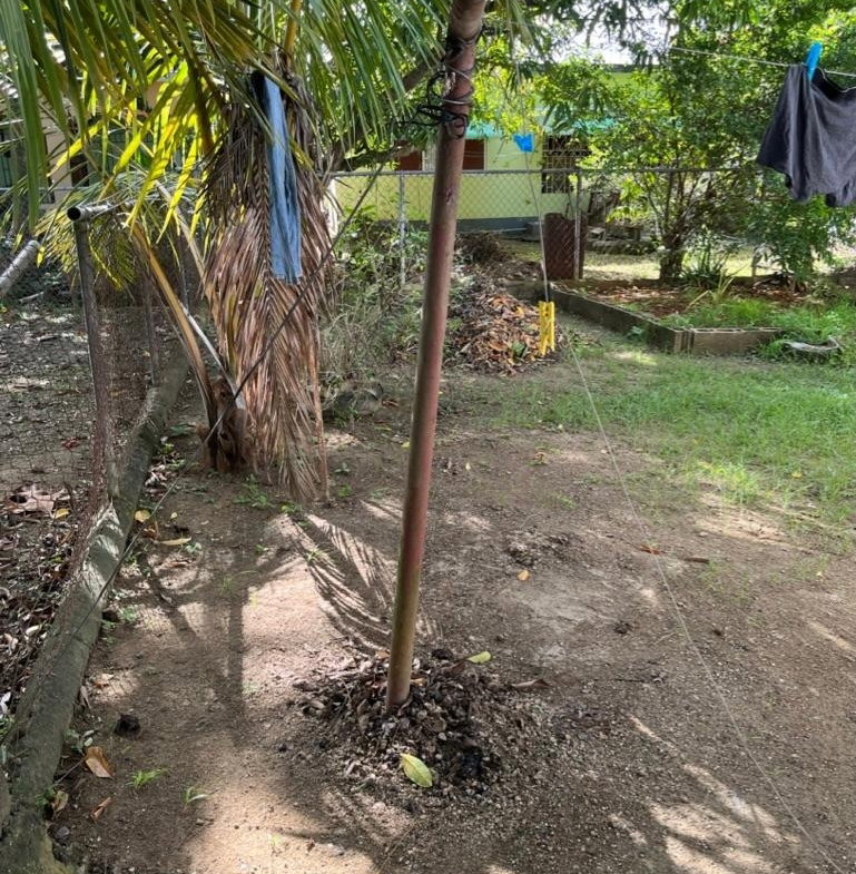Twenty-First image of Ottey Avenue, Llandilo in Savanna-La-Mar, Westmoreland, Jamaica - property is For Sale