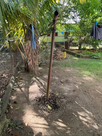 Twenty-First image of Ottey Avenue, Llandilo in Savanna-La-Mar, Westmoreland, Jamaica - property is For Sale