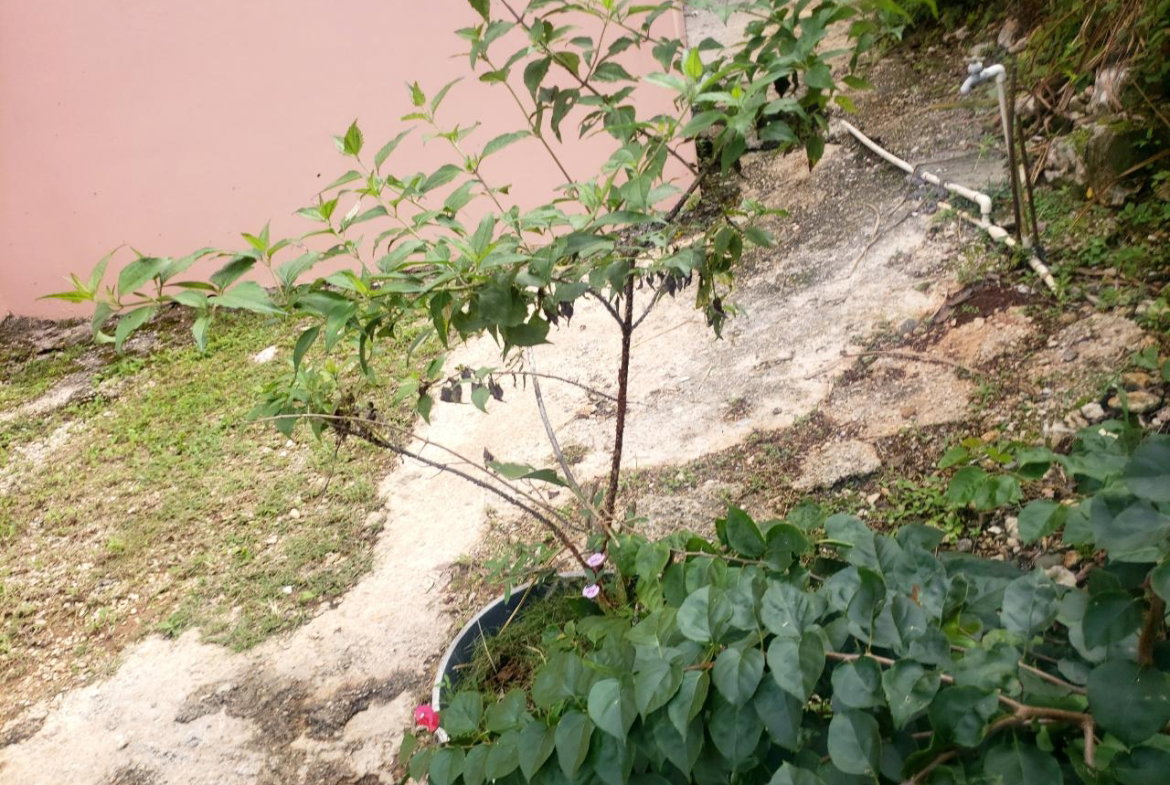 Fourteenth image of Land Part of May Day in May Day, Manchester, Jamaica - property is For Sale