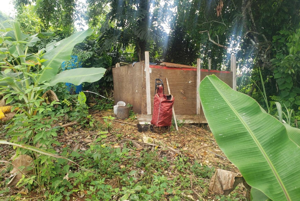 Sixteenth image of Land Part of May Day in May Day, Manchester, Jamaica - property is For Sale