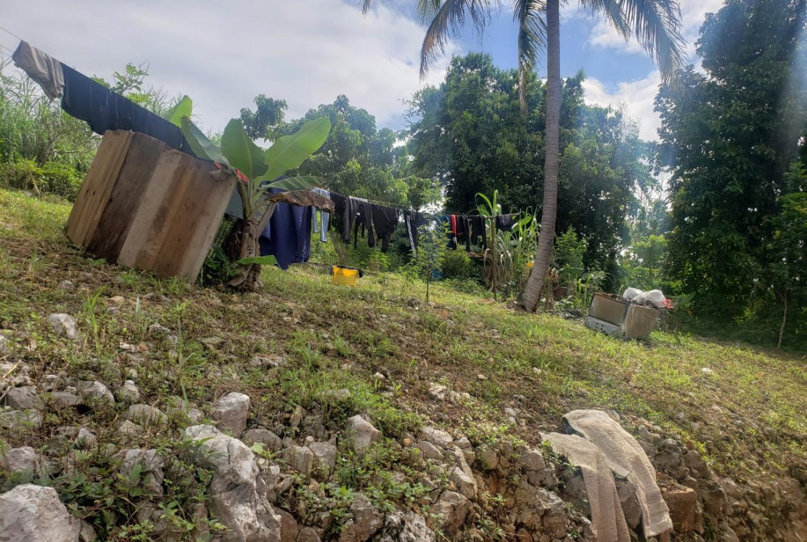 Seventeenth image of Land Part of May Day in May Day, Manchester, Jamaica - property is For Sale