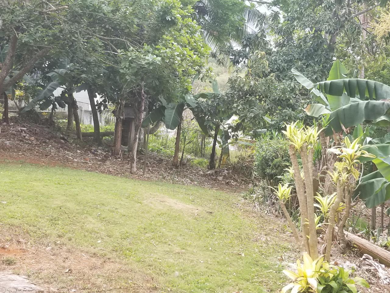 Fourteenth image of 39 Williamsfield Gardens in Williamsfield, Manchester, Jamaica - property is For Sale