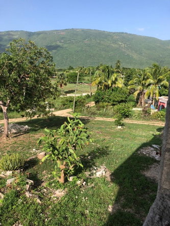 Fifteenth image of Mountainside st Elizabeth in MOUNTAINSIDE, St. Elizabeth, Jamaica - property is For Sale