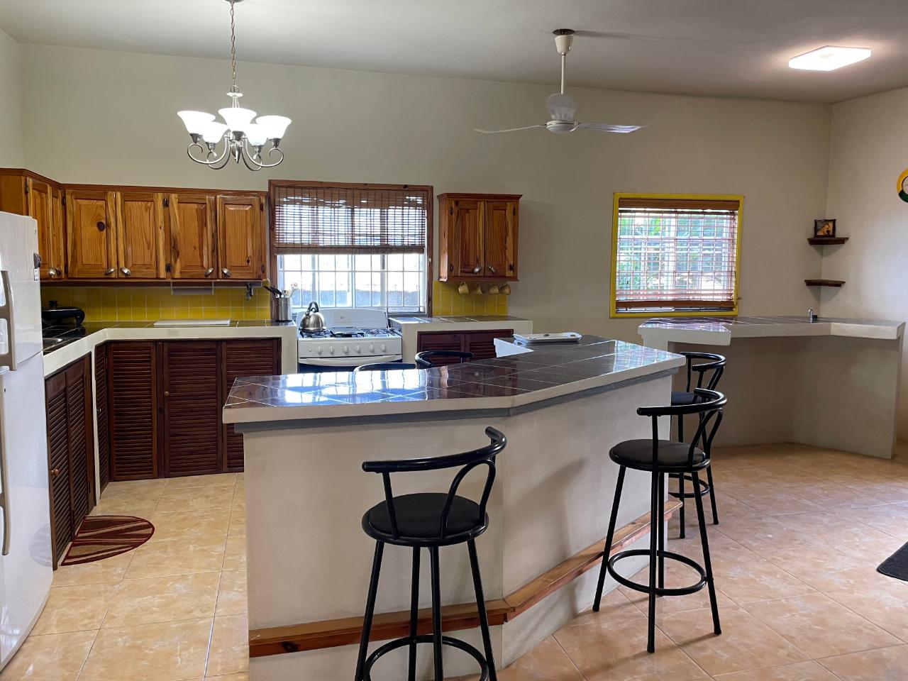 Twenty-Ninth image of Azalea Loop Avenue in Three Hills, St. Mary, Jamaica - property is For Sale