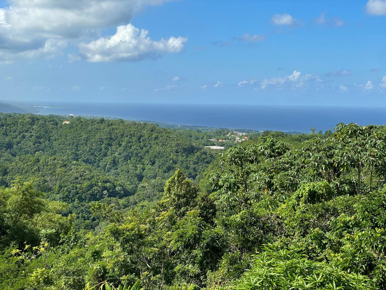 Ninth image of Azalea Loop Avenue in Three Hills, St. Mary, Jamaica - property is For Sale