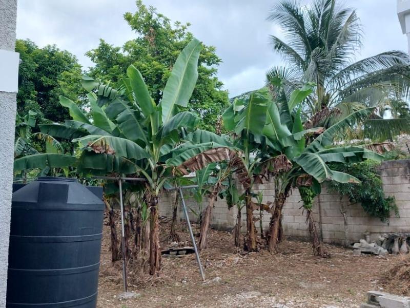 Third image of Porto Bello in Porto Bello, St. James, Jamaica - property is For Sale