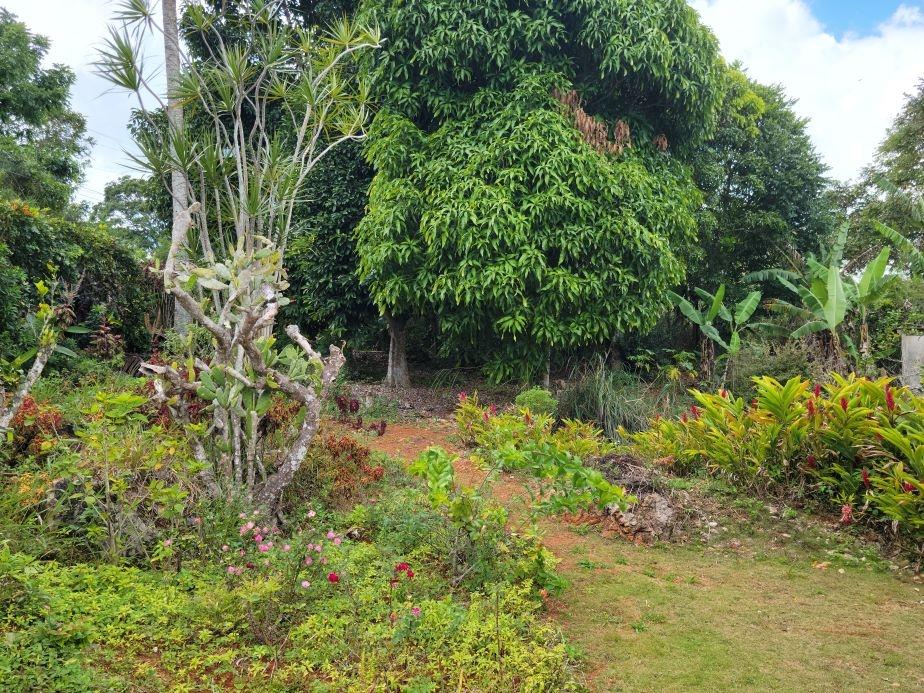 Seventh image of Knox Hill in Glencoe Meadows, Manchester, Jamaica - property is For Sale