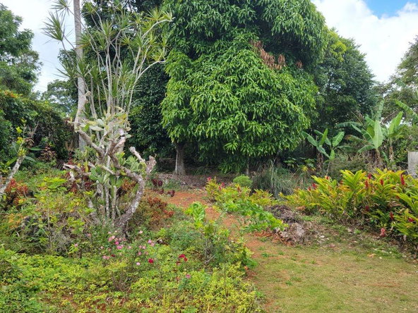 Seventh image of Knox Hill in Glencoe Meadows, Manchester, Jamaica - property is For Sale