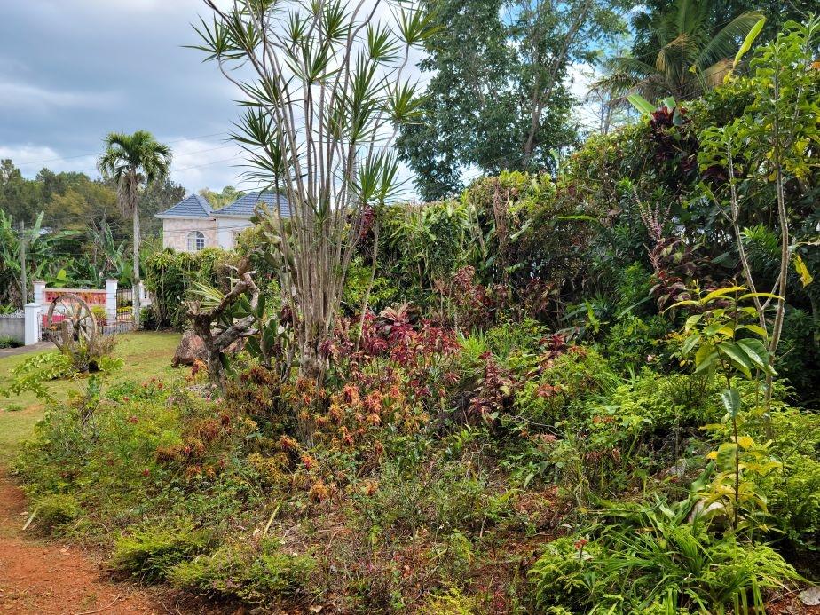 Eighth image of Knox Hill in Glencoe Meadows, Manchester, Jamaica - property is For Sale