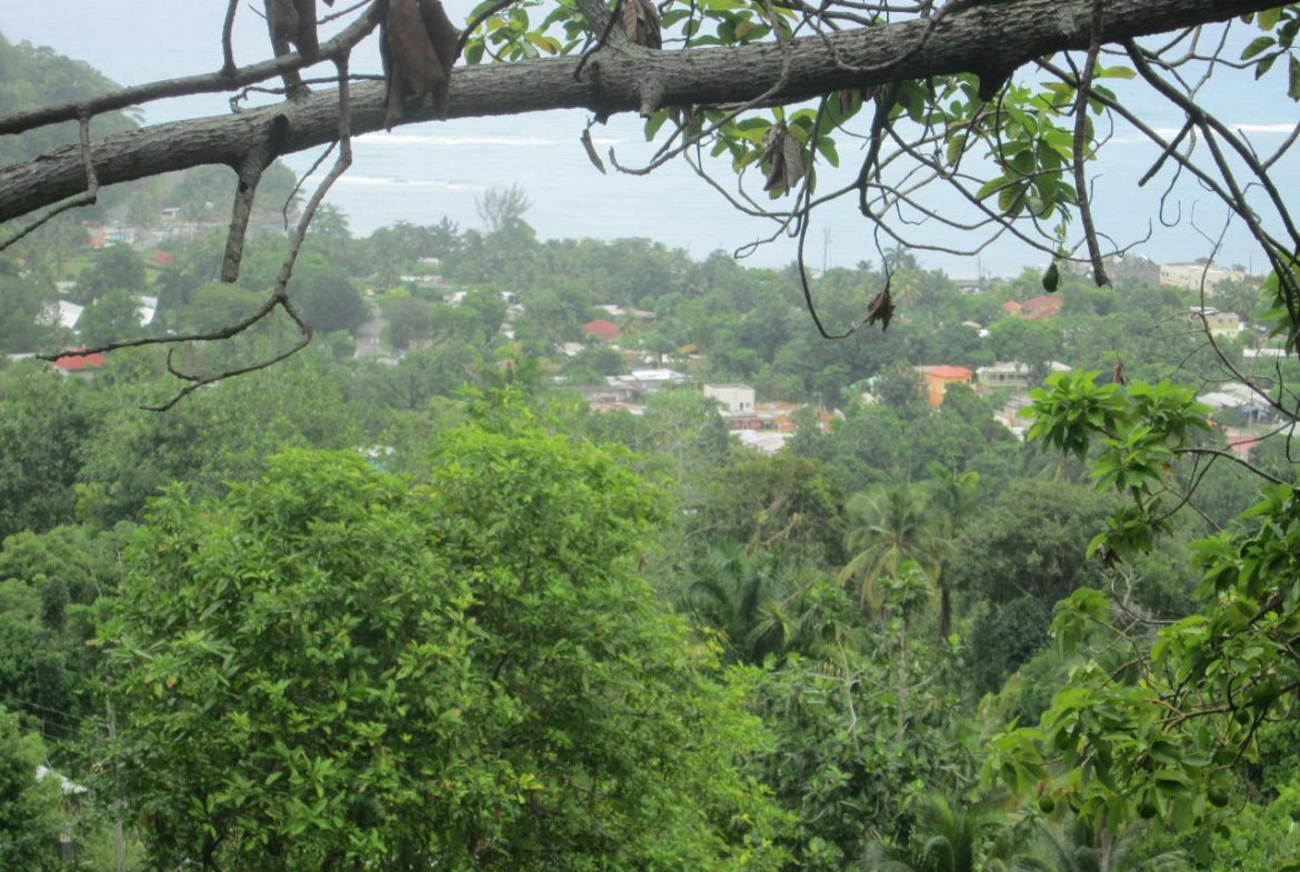 Eleventh image of Boundbrook in Port Antonio, Portland, Jamaica - property is For Sale