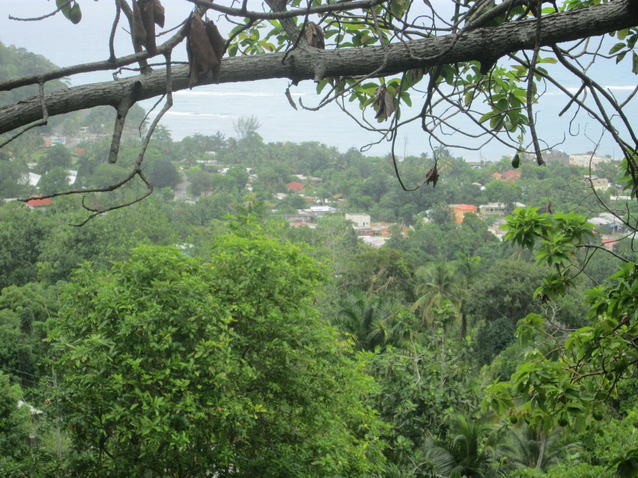 Eleventh image of Boundbrook in Port Antonio, Portland, Jamaica - property is For Sale
