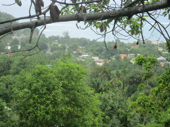 Eleventh image of Boundbrook in Port Antonio, Portland, Jamaica - property is For Sale