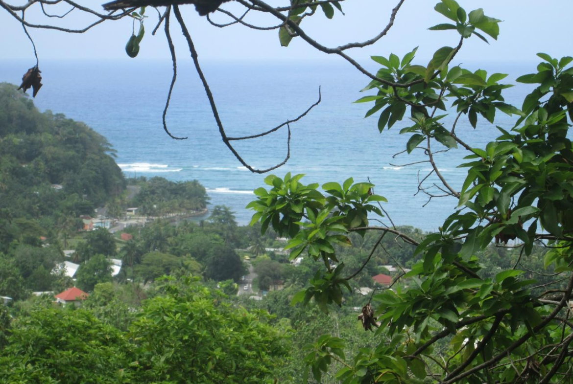 First image of Boundbrook in Port Antonio, Portland, Jamaica - property is For Sale