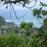 First image of Boundbrook in Port Antonio, Portland, Jamaica - property is For Sale