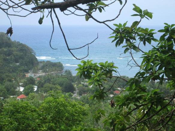 First image of Boundbrook in Port Antonio, Portland, Jamaica - property is For Sale