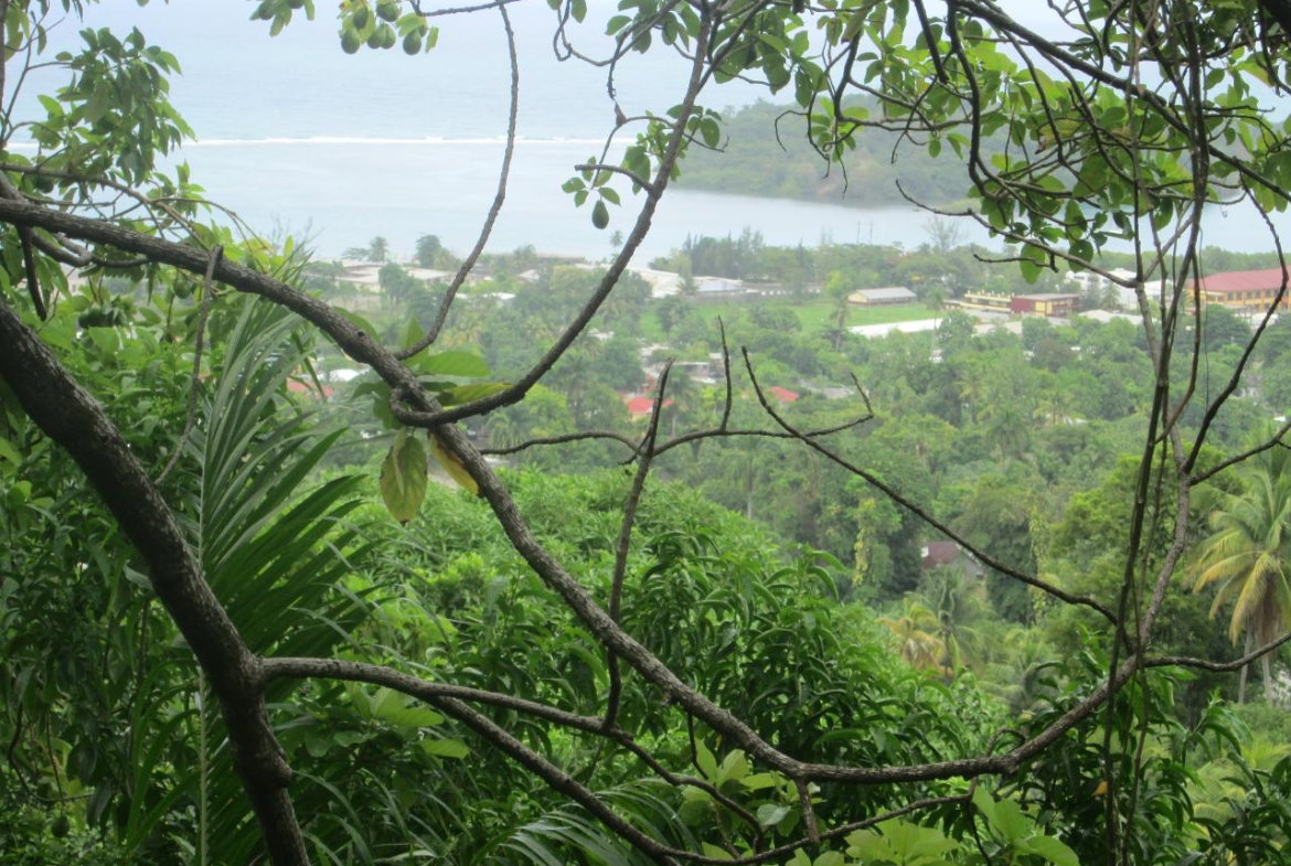 Seventh image of Boundbrook in Port Antonio, Portland, Jamaica - property is For Sale