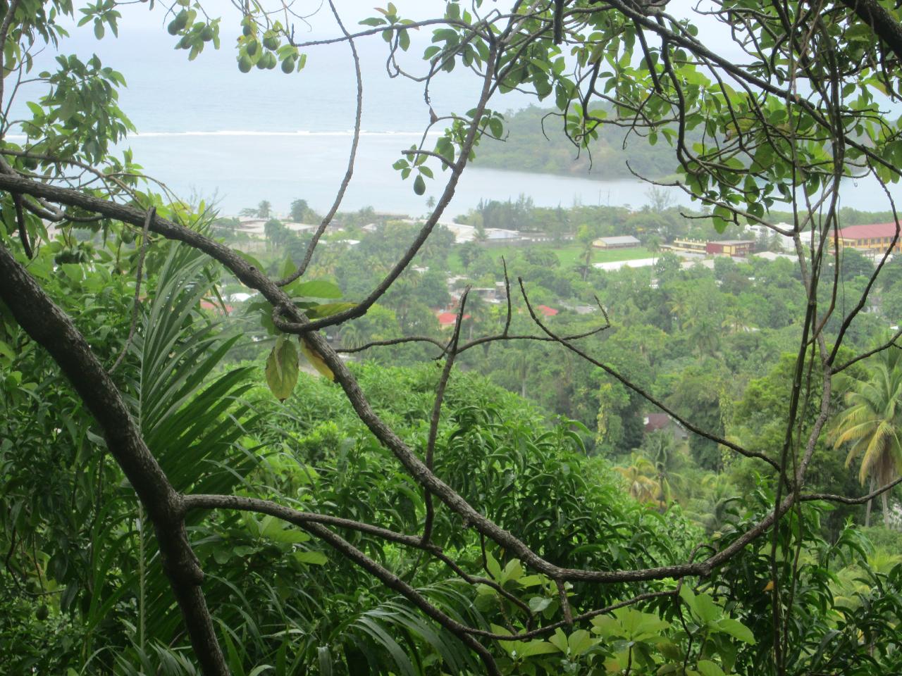 Seventh image of Boundbrook in Port Antonio, Portland, Jamaica - property is For Sale