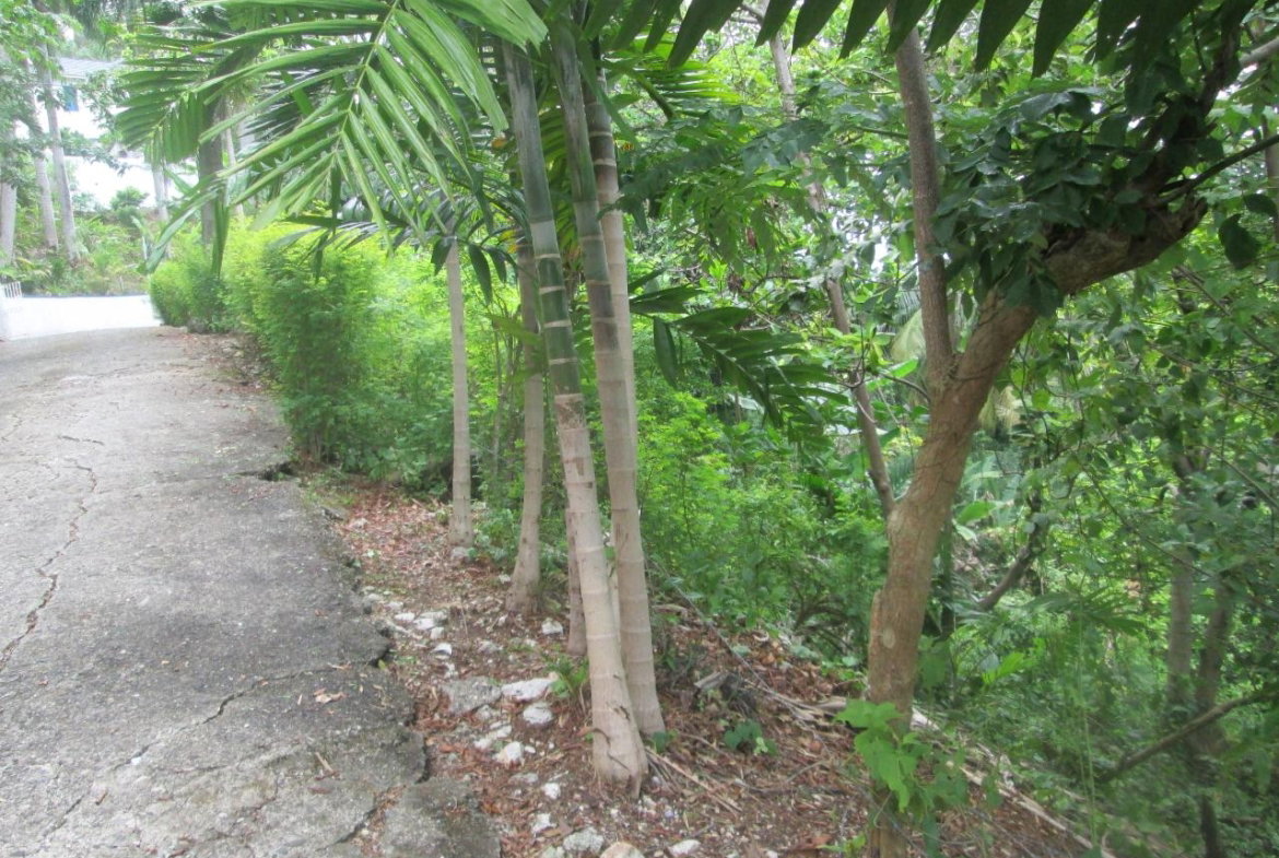 Eighth image of Boundbrook in Port Antonio, Portland, Jamaica - property is For Sale