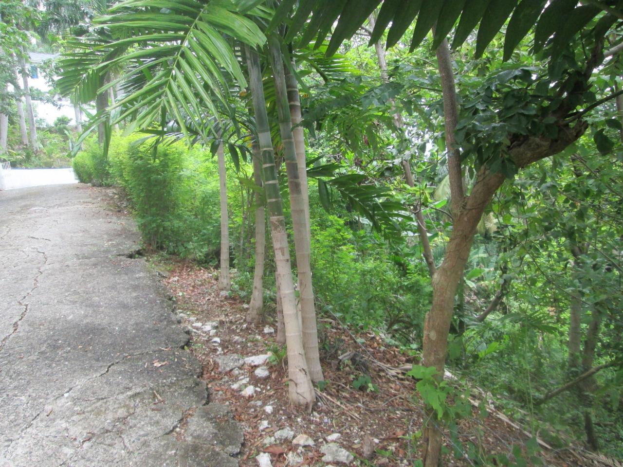 Eighth image of Boundbrook in Port Antonio, Portland, Jamaica - property is For Sale