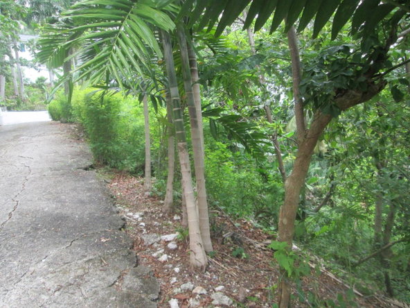 Eighth image of Boundbrook in Port Antonio, Portland, Jamaica - property is For Sale