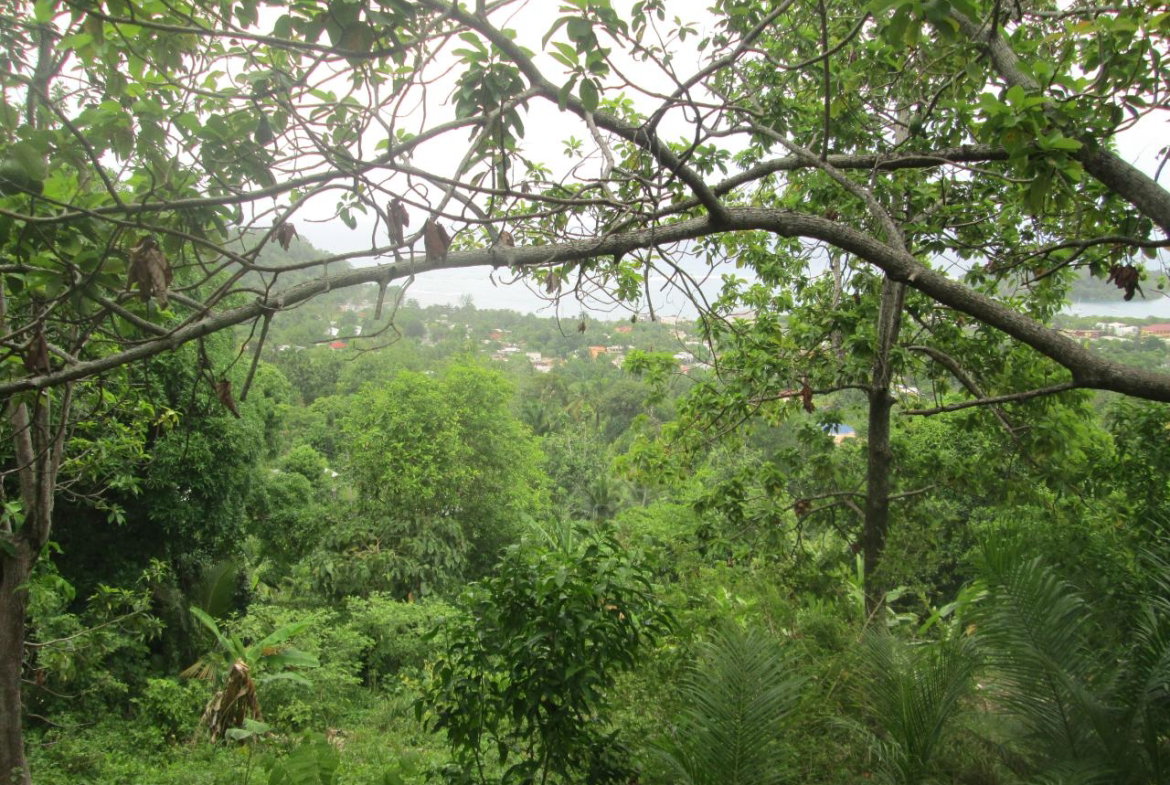 Ninth image of Boundbrook in Port Antonio, Portland, Jamaica - property is For Sale