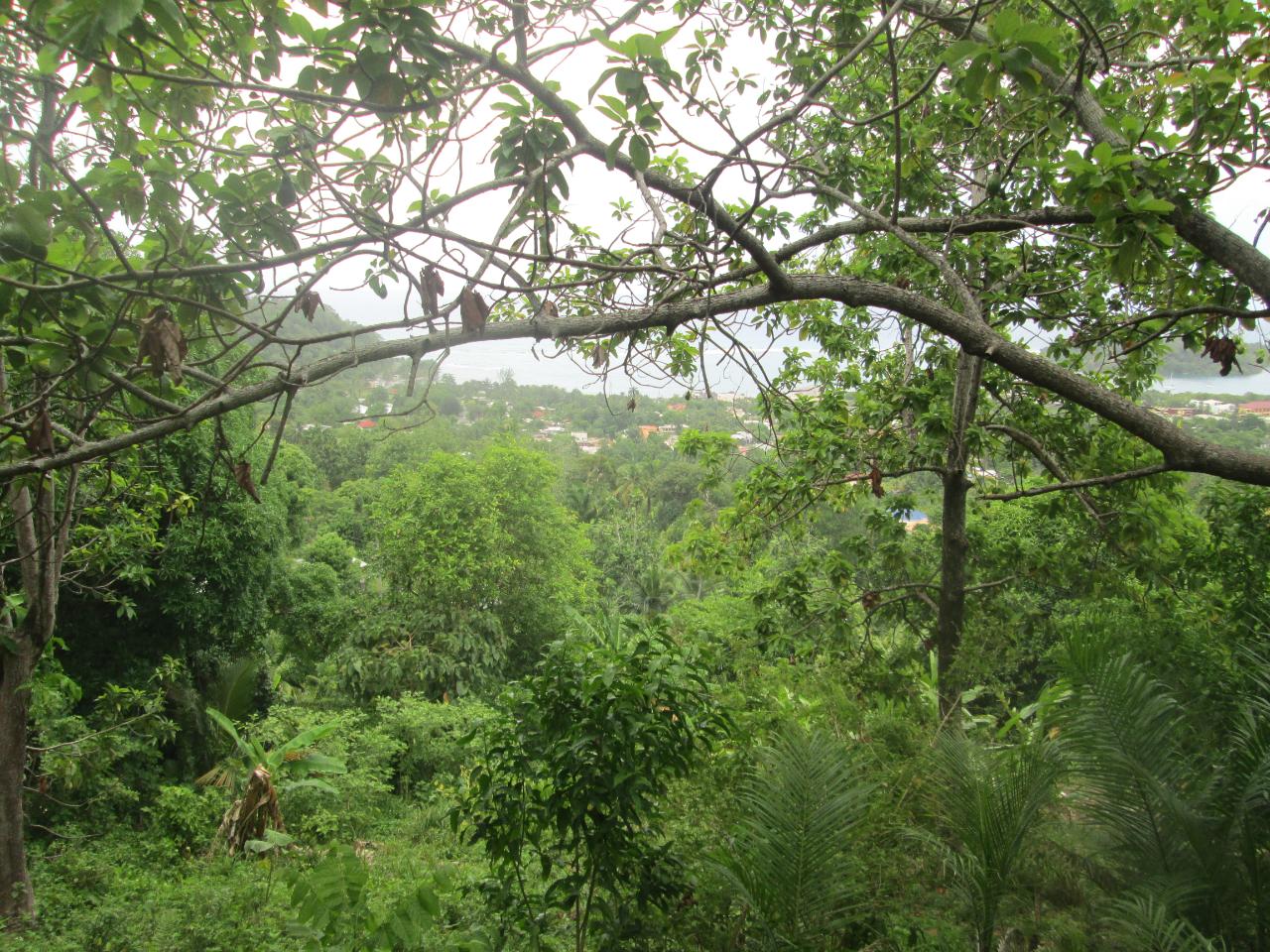 Ninth image of Boundbrook in Port Antonio, Portland, Jamaica - property is For Sale