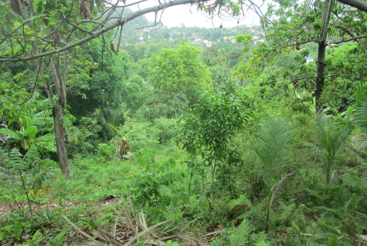 Tenth image of Boundbrook in Port Antonio, Portland, Jamaica - property is For Sale