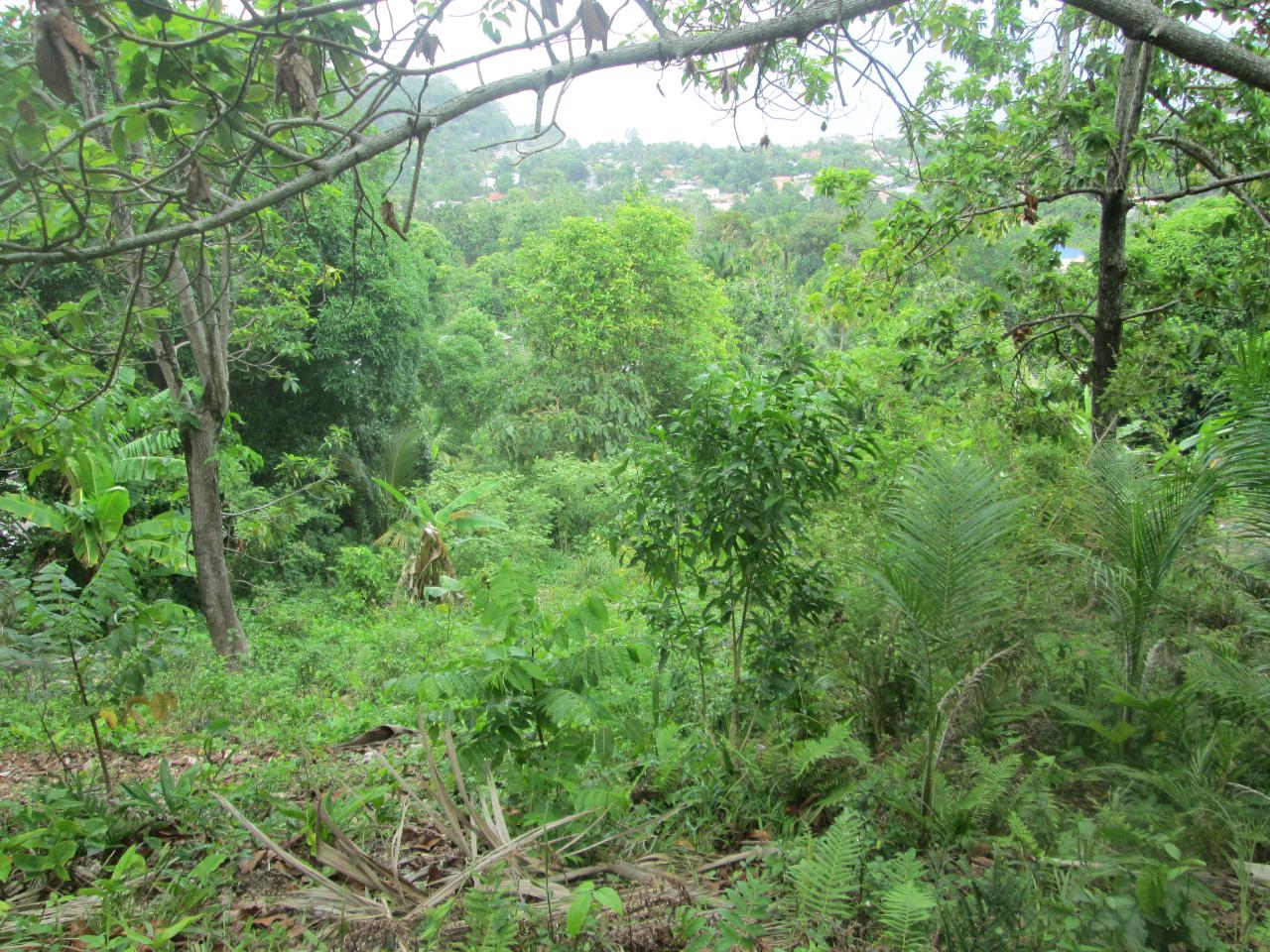 Tenth image of Boundbrook in Port Antonio, Portland, Jamaica - property is For Sale