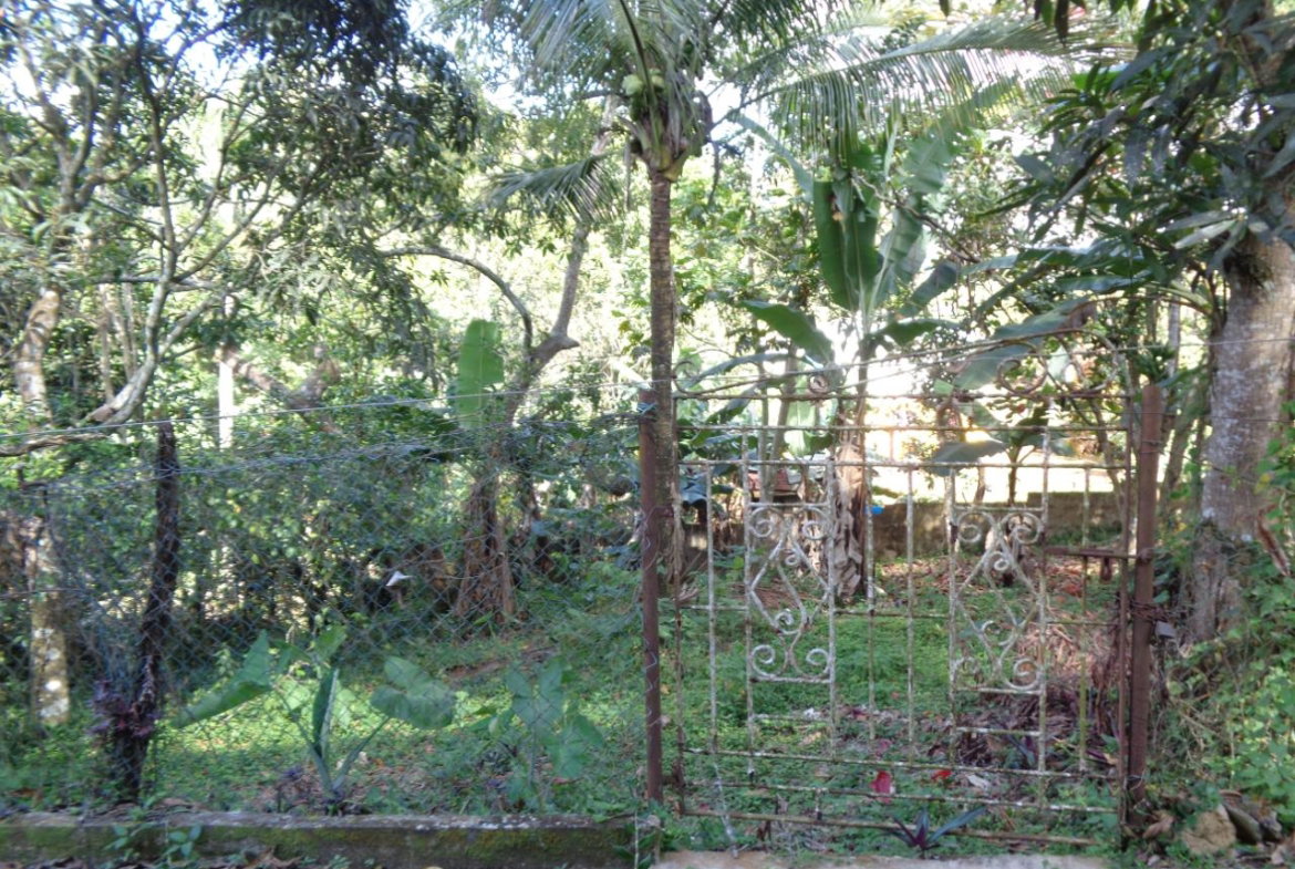 Seventeenth image of Pusey Close in Woodlawn Phase 2, Manchester, Jamaica - property is For Sale