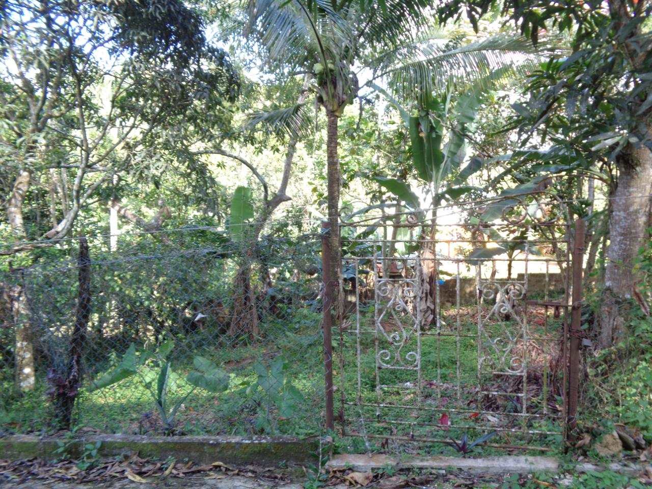 Seventeenth image of Pusey Close in Woodlawn Phase 2, Manchester, Jamaica - property is For Sale