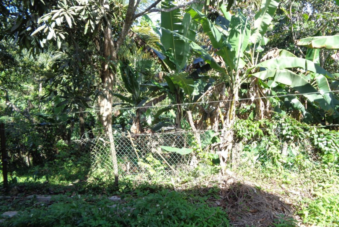 Eighteenth image of Pusey Close in Woodlawn Phase 2, Manchester, Jamaica - property is For Sale