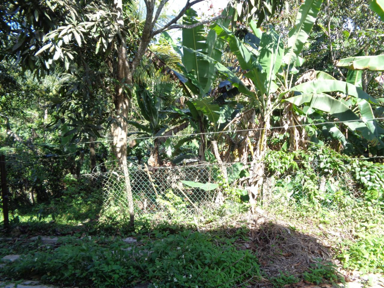 Eighteenth image of Pusey Close in Woodlawn Phase 2, Manchester, Jamaica - property is For Sale