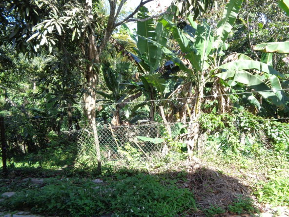 Eighteenth image of Pusey Close in Woodlawn Phase 2, Manchester, Jamaica - property is For Sale