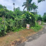 First image of Three Courts, Retreat in Retreat, St. Mary, Jamaica - property is For Sale