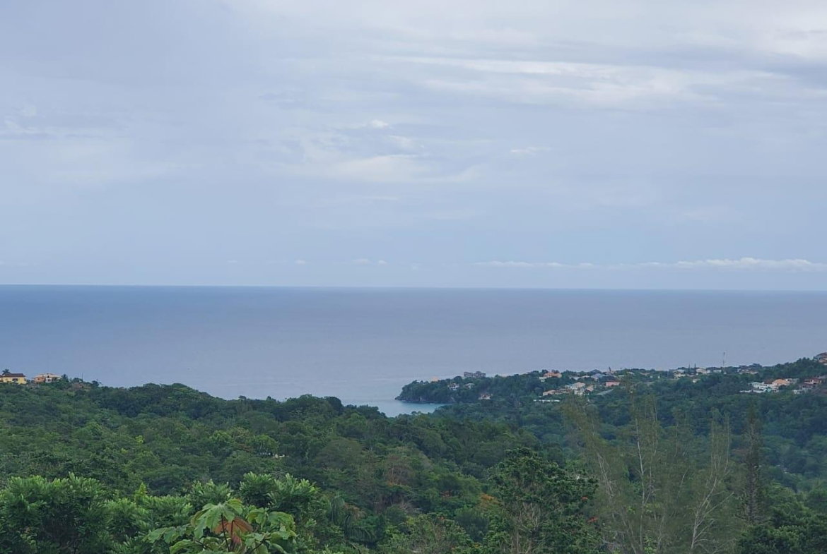 Seventh image of Three Courts, Retreat in Retreat, St. Mary, Jamaica - property is For Sale