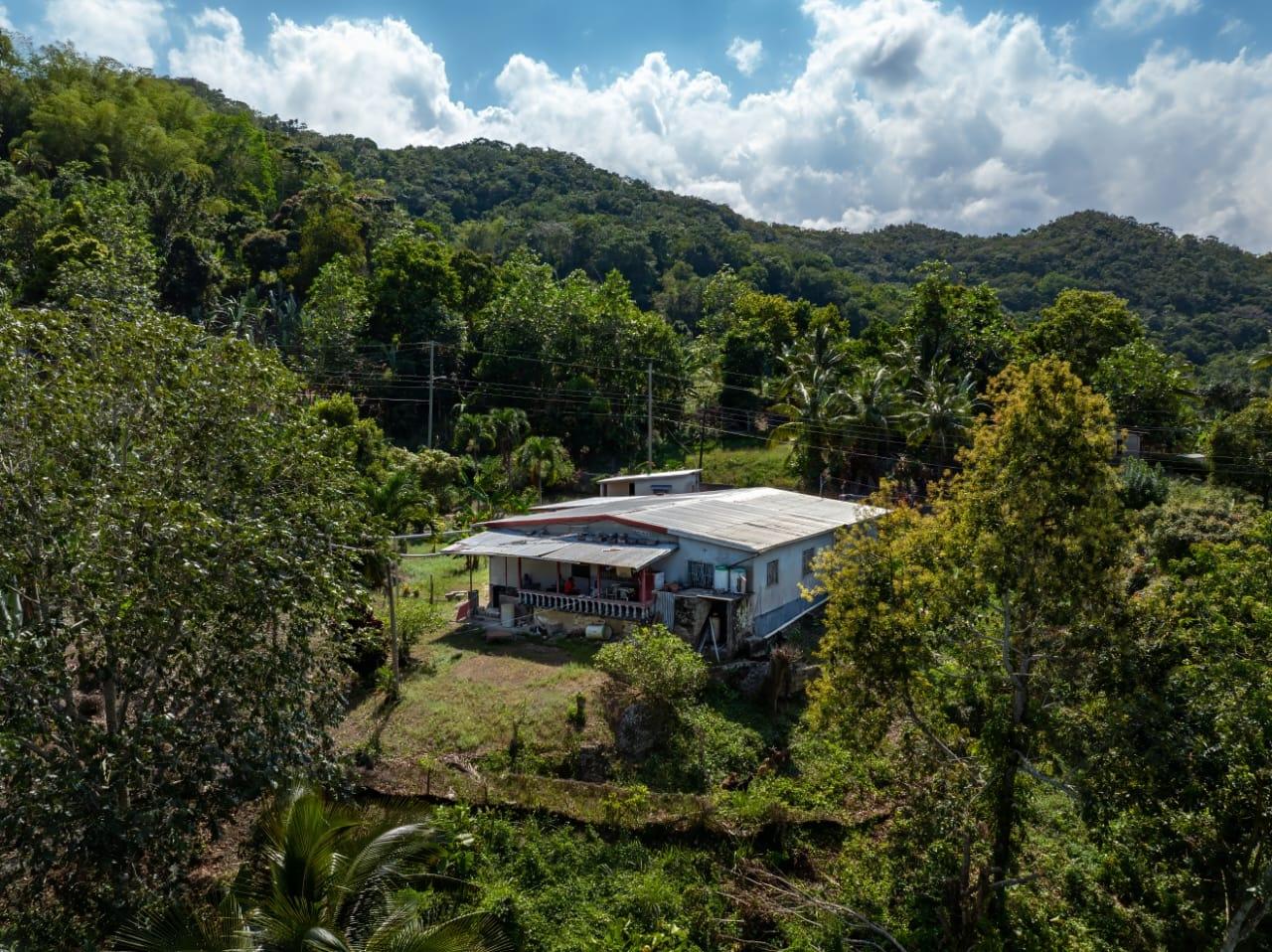 Second image of Lot-2 Spring Garden, st Ann in Spring Garden, St. Ann, Jamaica - property is For Sale