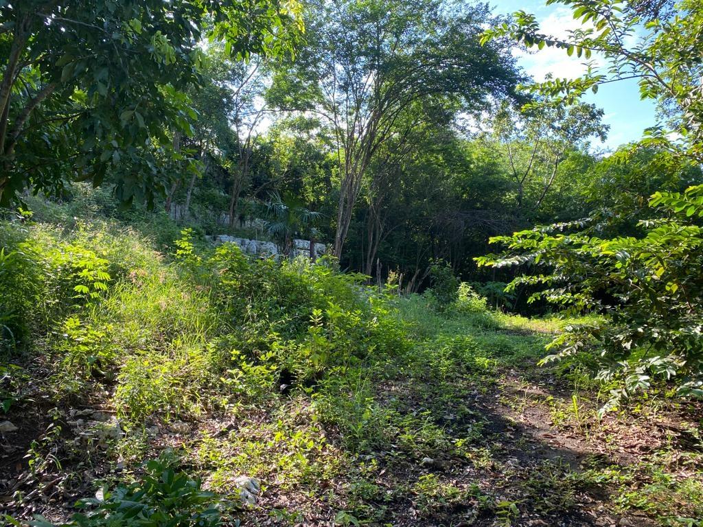 Fifteenth image of Lot 250- St. Jago Way, St. Jago hi in Spanish Town, St. Catherine, Jamaica - property is For Sale
