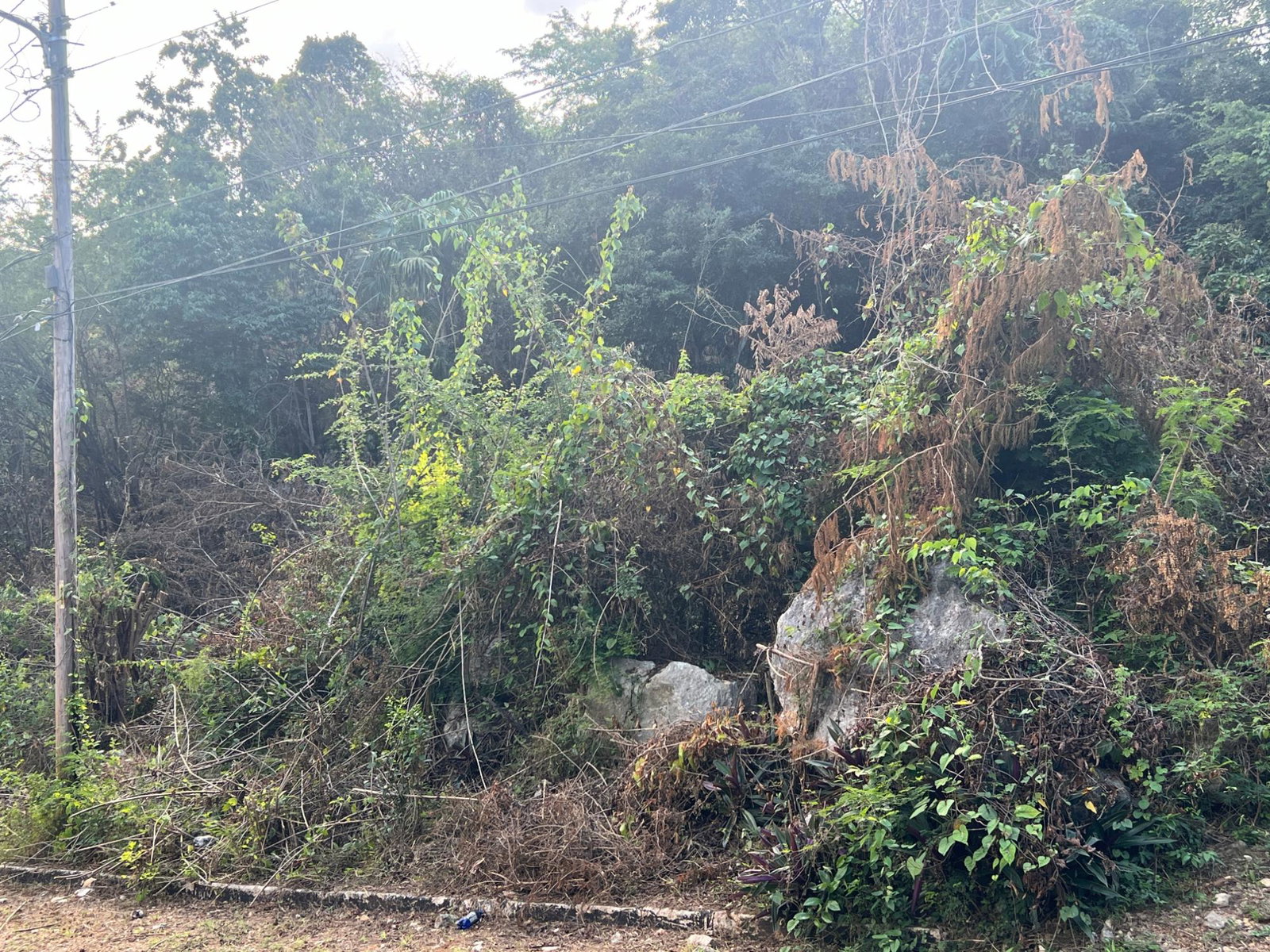 Fifth image of Lot 282 St. Jago Crescent, St. ja in Spanish Town, St. Catherine, Jamaica - property is For Sale