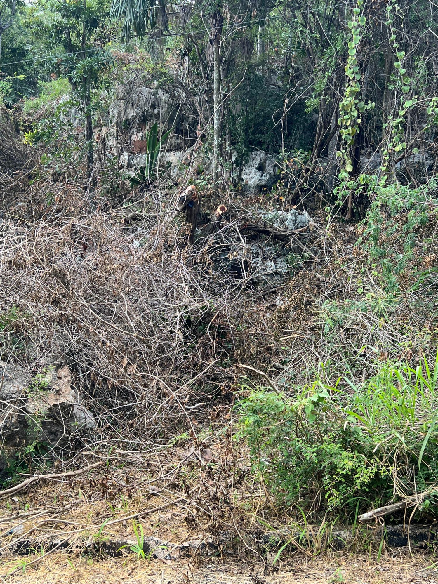 Seventh image of Lot 282 St. Jago Crescent, St. ja in Spanish Town, St. Catherine, Jamaica - property is For Sale