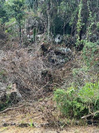 Seventh image of Lot 282 St. Jago Crescent, St. ja in Spanish Town, St. Catherine, Jamaica - property is For Sale