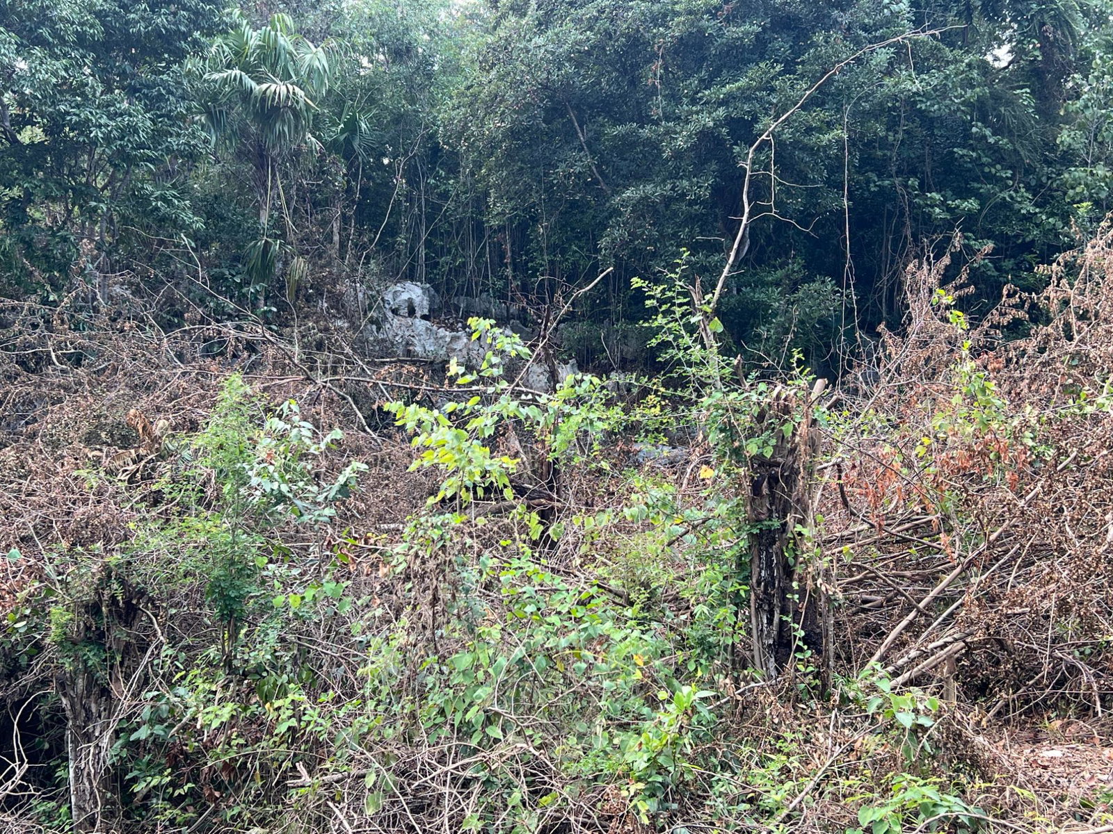 Eighth image of Lot 282 St. Jago Crescent, St. ja in Spanish Town, St. Catherine, Jamaica - property is For Sale