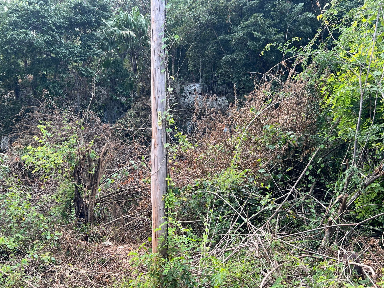 Ninth image of Lot 282 St. Jago Crescent, St. ja in Spanish Town, St. Catherine, Jamaica - property is For Sale